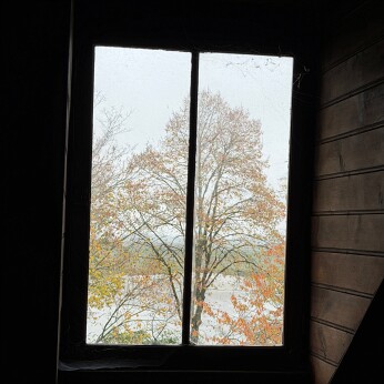 IMG_7982 null